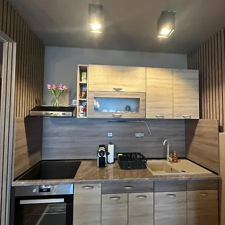 Apartment Vip Apartmant With Free Private Parking